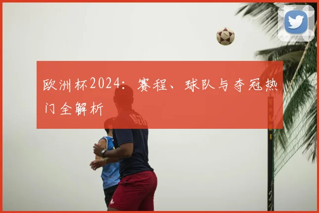 欧洲杯2024：赛程、球队与夺冠热门全解析