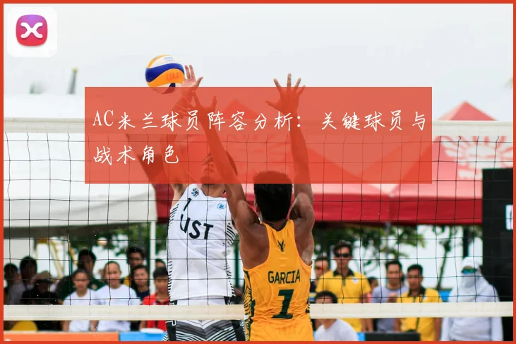 AC米兰球员阵容分析:关键球员与战术角色