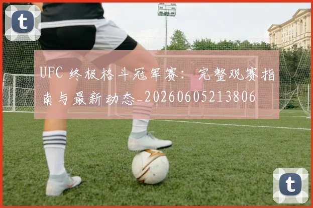 UFC 终极格斗冠军赛：完整观赛指南与最新动态_20260605213806