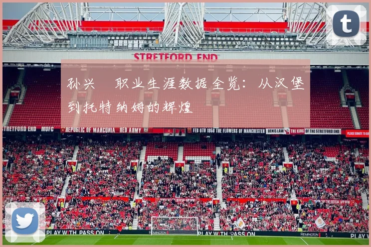 孙兴慜职业生涯数据全览：从汉堡到托特纳姆的辉煌