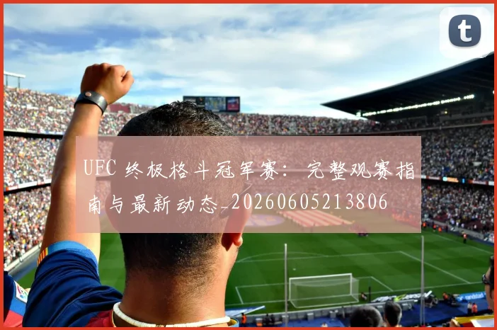 UFC 终极格斗冠军赛:完整观赛指南与最新动态_20260605213806